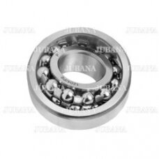 Bearing 1204