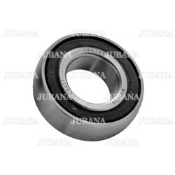 Bearing 580205