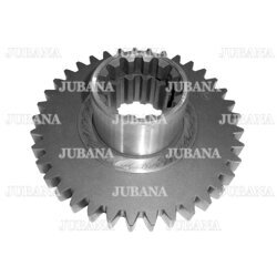 Gear JUB801701313B