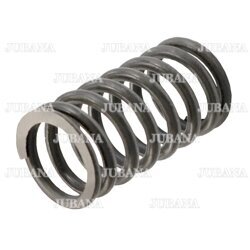 Clutch housing spring 85-1601115