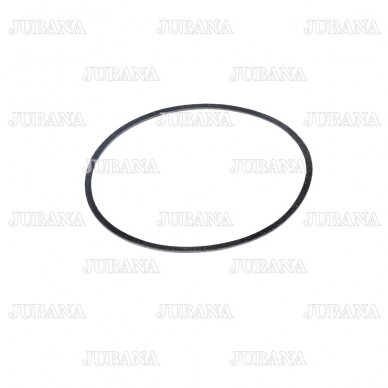 Gasket centrifuge cap 501404059