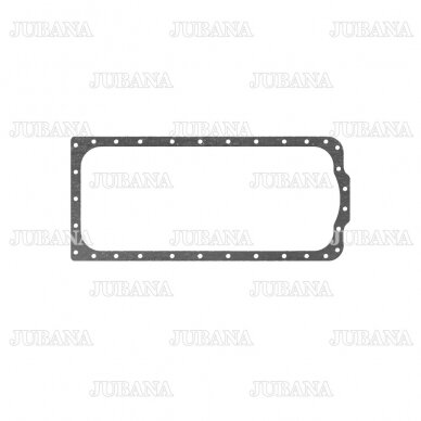 Crankcase gasket D30-1401111